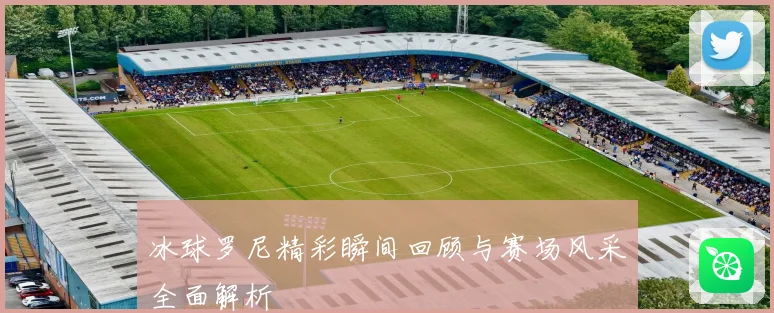 冰球罗尼精彩瞬间回顾与赛场风采全面解析