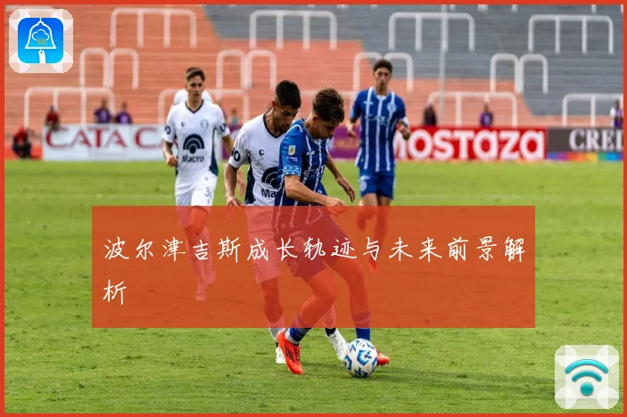 波尔津吉斯成长轨迹与未来前景解析
